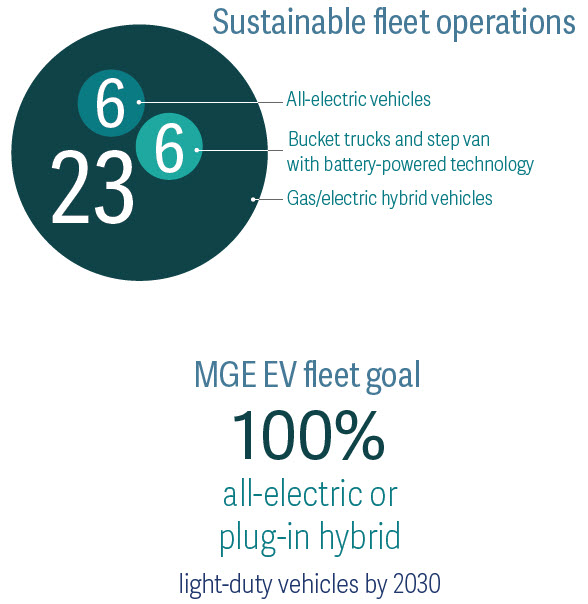 Sustainable fleet graph