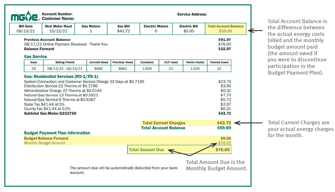 Sample Budget Payment Plan bill.