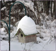 Snowy birdhouse