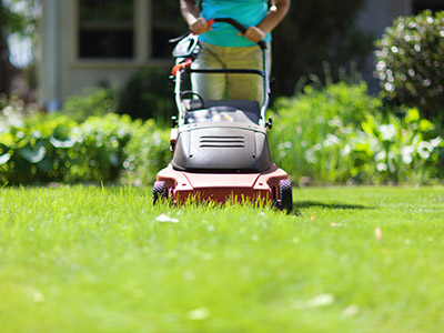 Electrify your lawn care