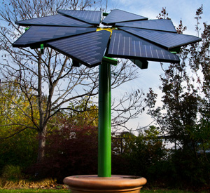Olbrich Gardens Solar Flair