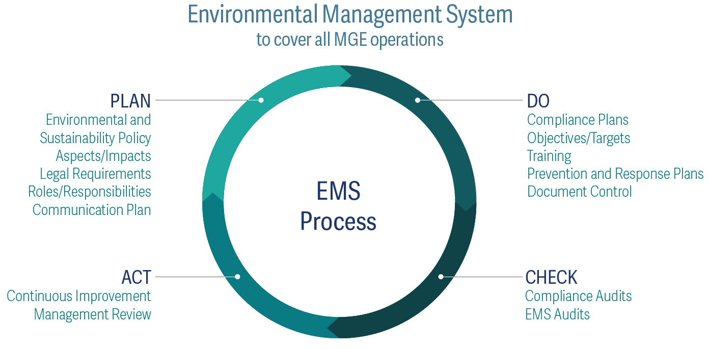 Environmental Management system infographic