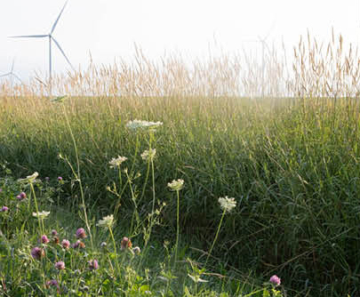wind turbine and prairie