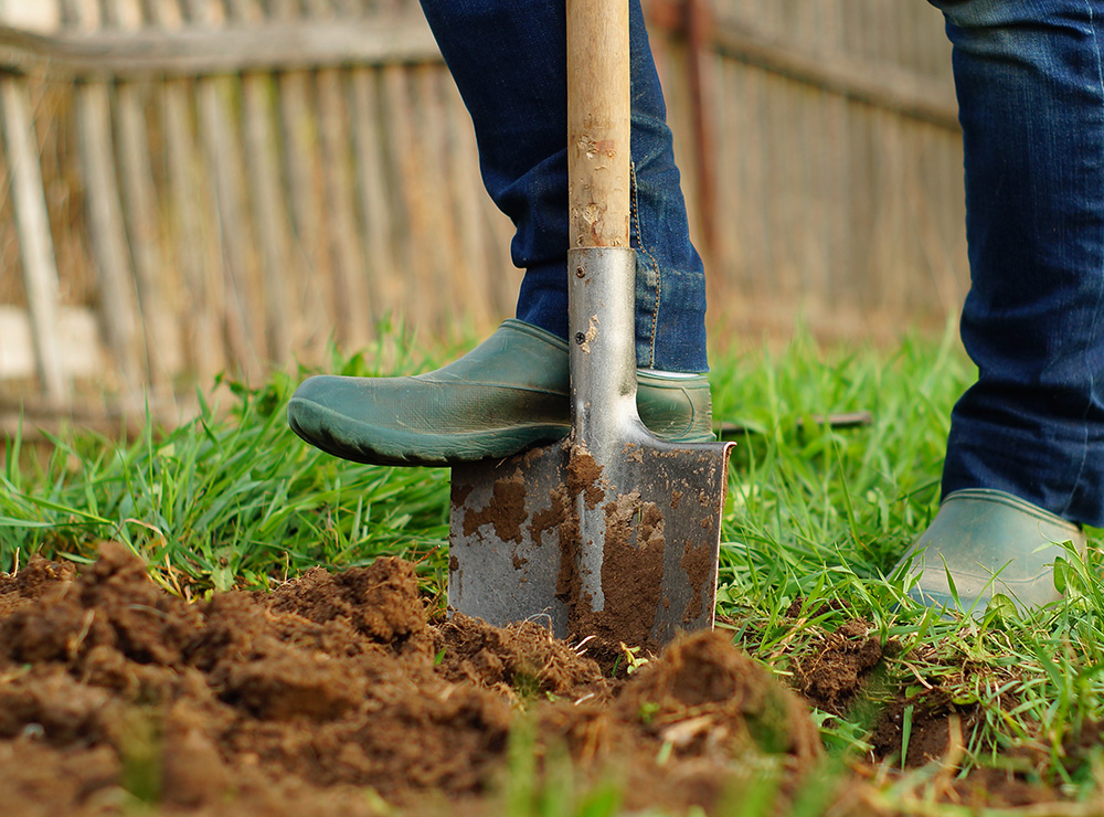 Digging in a yard before planting