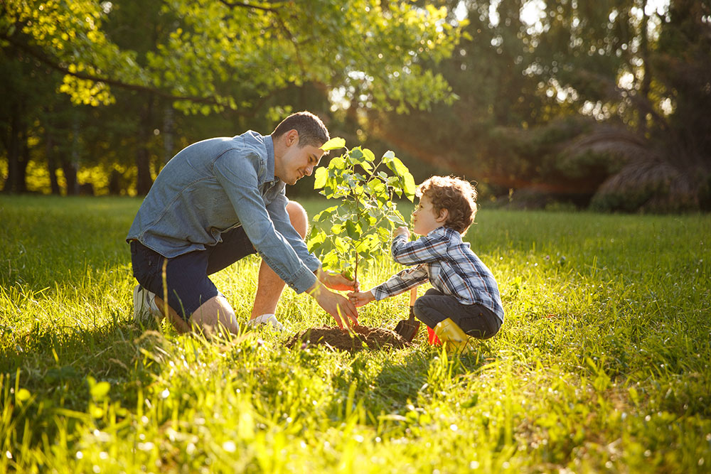 Father and son planting a tree in their backyard.