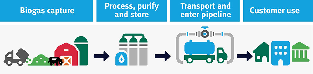Graphic showing the RNG process.