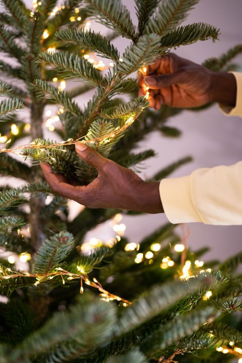 Image showcasing Save Energy This Season with Smart Plugs, LED Lights and Mindful ...