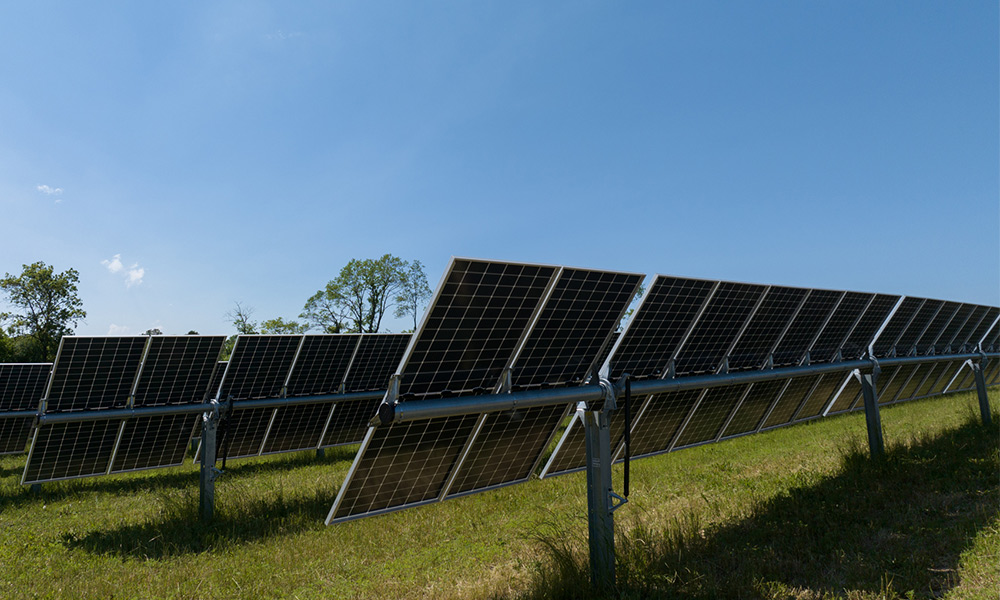 A couple of rows of solar panels at Darien Solar in Rock and Walworth counties with green grass and clear blue skies.