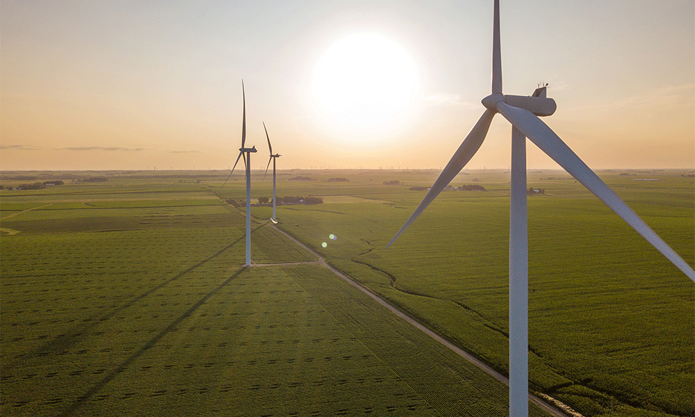 Tres turbinas eólicas en el parque eólico de Saratoga con un sol radiante en el horizonte.