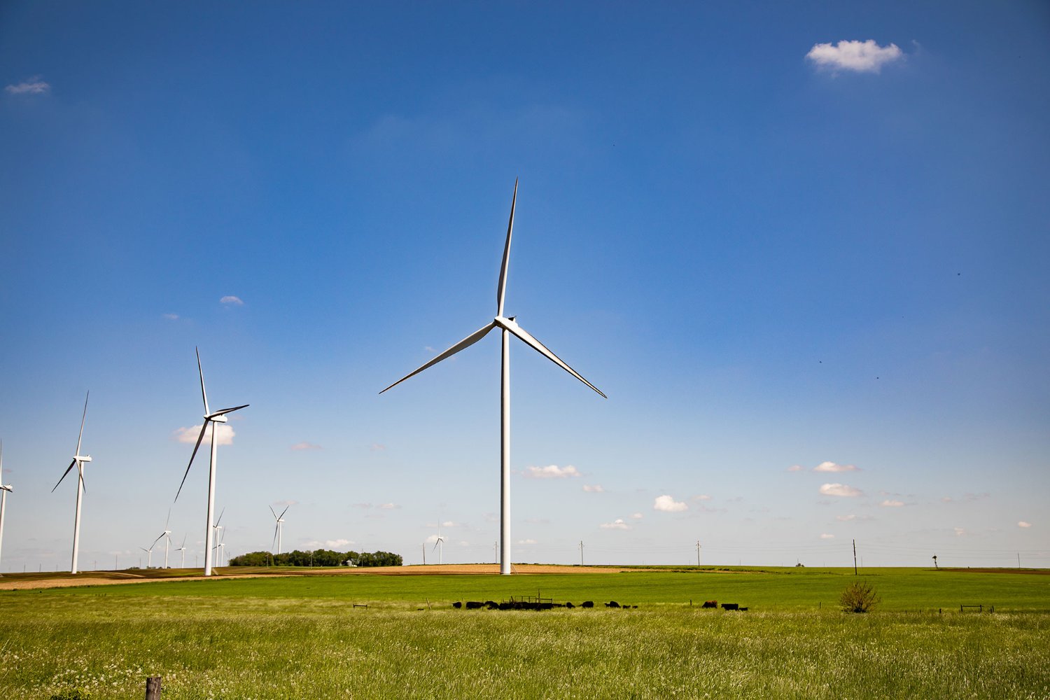 wind turbine in field