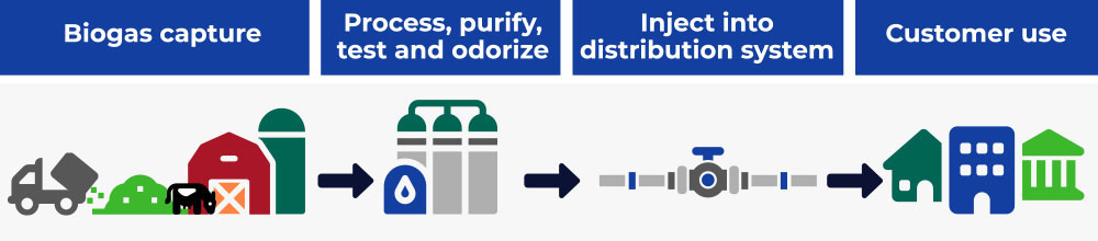 infographic showing the RNG process