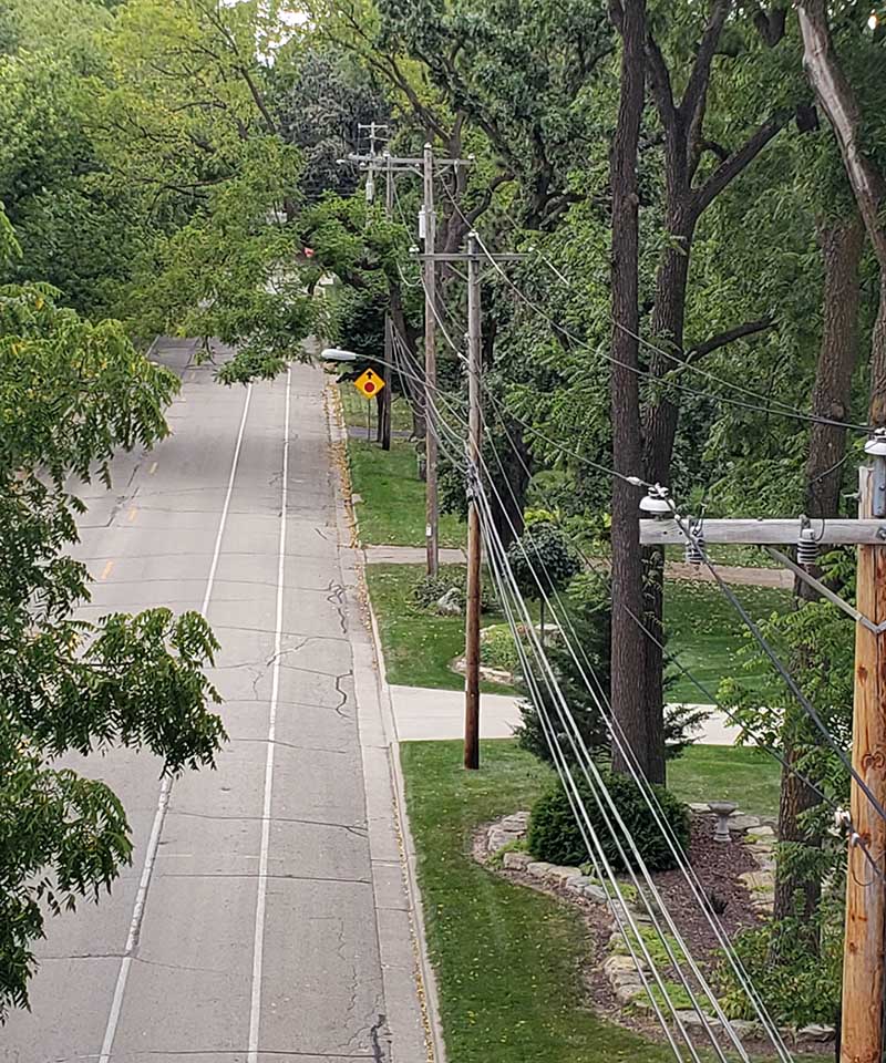 Powerlines and trees along a road