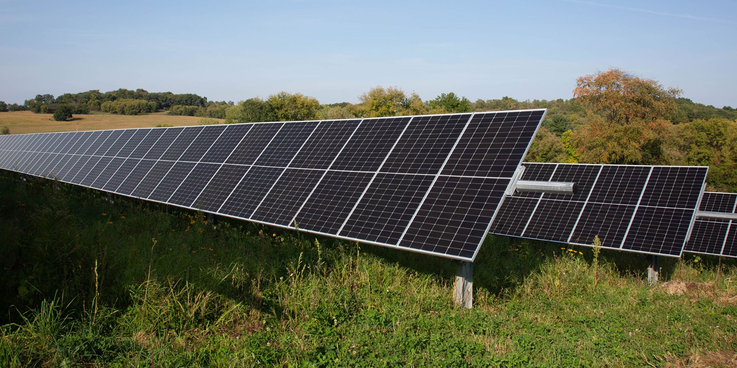 Wildflowers and solar panels