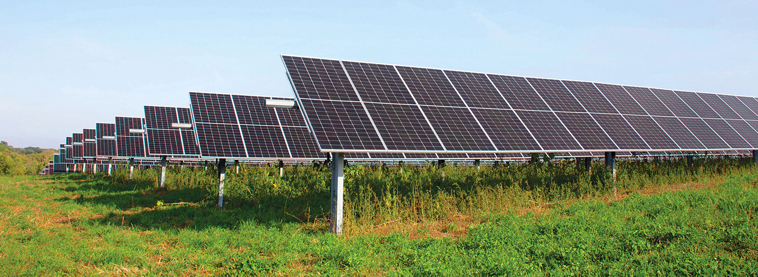 Solar panels in a field.