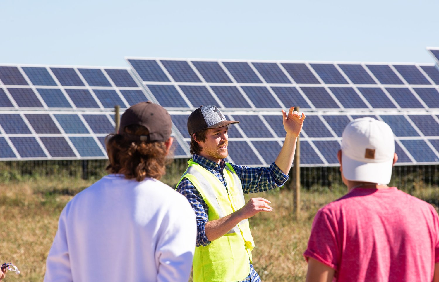 MGE employees inspecting pollinator plantings at a local solar energy site.