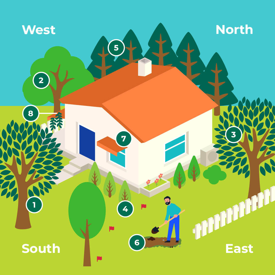 graphic showing general planting tips for energy efficiency